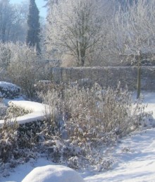 Jardins l'hiver